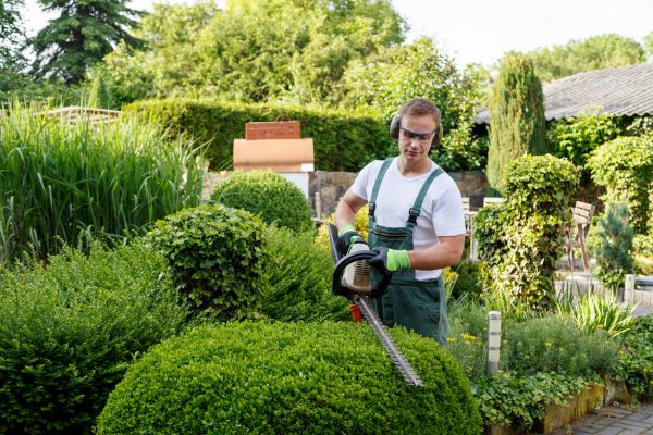 Shrubs Trimming in Apopka